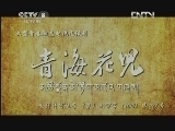青海花儿 8集