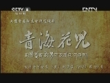 青海花儿 28集