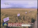 【喜迎十八大 走基层·行进中国】北大荒今年粮满仓