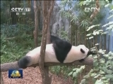 国际联播快讯