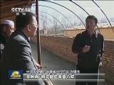 【我的小康】甘肃临夏：马哈三 赶着牛羊奔小康