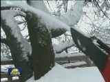 日本西北部大雪 大雪超1米