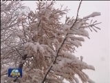 本周中东部仍有雨雪降温天气