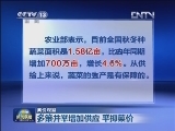 【菜价观察】多策并举增加供应 平抑菜价