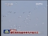 国内联播快讯
