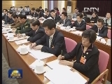 王岐山参加北京代表团审议