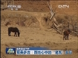 【最美基层干部】菊美多吉：百姓心中的“尼瓦”乡长