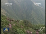 花开中国 春色满园