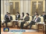 习近平会见冰岛总理