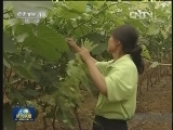 【全国助残日】授之以渔 帮助贫困残疾人脱贫