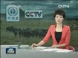 【东非野生动物大迁徙】三国联合直播 节目引人关注