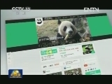 中国网络电视台熊猫频道今天上线