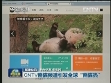 CNTV熊猫频道引发全球“熊猫热”