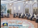 习近平会见巴西副总统