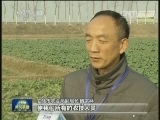 周小贺：扎根农村 为民增收做贡献