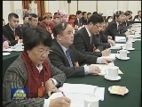 张德江参加广西代表团审议