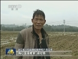 【最美基层干部】“英雄林”里寄思念