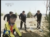 习近平在参加首都义务植树活动时强调 一代人接着一代人干下去 坚定不移爱绿植绿护绿