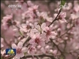 新型经营主体春耕唱主角