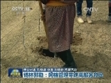 锡林郭勒：网格管理零距离服务牧民