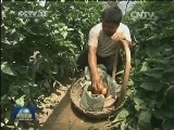 送科技下乡 建设美丽乡村