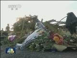 关注马航MH17航班坠毁事件
