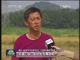 我国早稻获得丰收