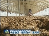 整改进行时