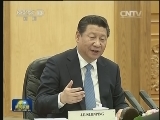 习近平同捷克总统举行会谈