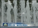 巴西大选结果出炉