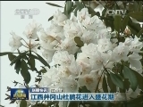 国内联播快讯
