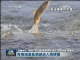 国内联播快讯