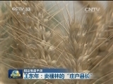 【根据地启示录】王东年：卖祖林的“庄户县长”