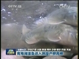 国内联播快讯