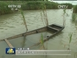 作家王小鹰：在行走中写作