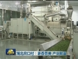 湖北戽口村：茶香景美 产业致富