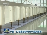 宁夏：打造全球穆斯林产品集散地