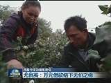 【跨越沙漠的姐弟亲情】尤良英：万元借款结下无价之缘