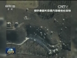 伊总理：欢迎俄在伊空袭极端组织