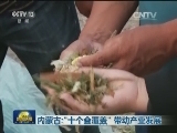 内蒙古：“十个全覆盖” 带动产业发展