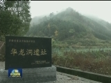国内联播快讯