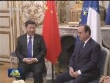 习近平会见法国总统
