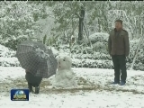 寒潮“凶猛” 气象预警升级