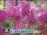国内联播快讯