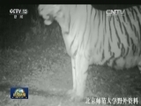 国内联播快讯