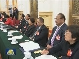 俞正声参加河南代表团审议