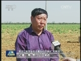 春耕新现象：千里去种地 猫冬变春忙