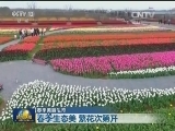 【春季美丽生态】春季生态美 繁花次第开