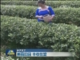 【秋天来了】美丽田园 丰收在望