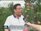 美丽中国 生态文明造福百姓